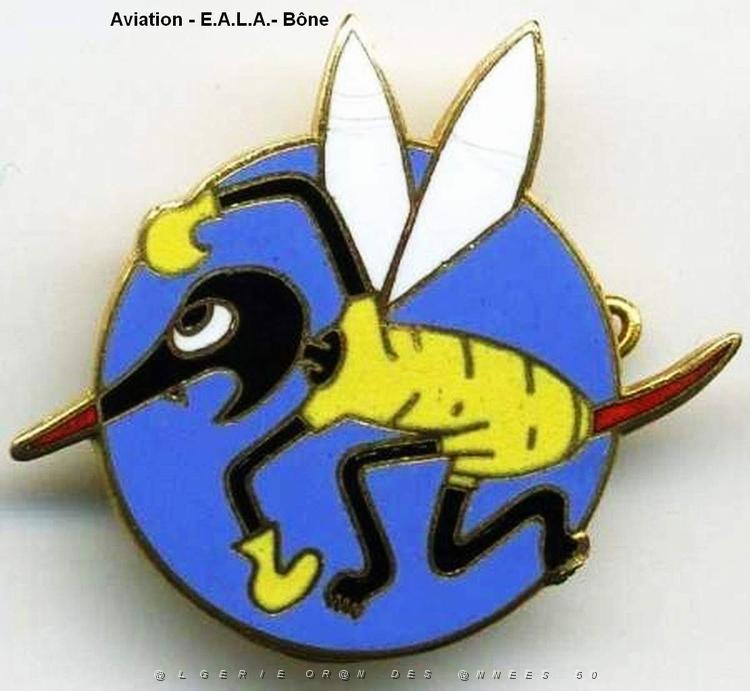 Aviation - EALA Bone.jpg